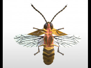 firefly rigged pbr low poly insect Modello 3D