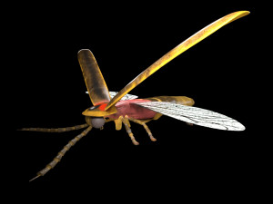 firefly rigged pbr low poly insect Modello 3D