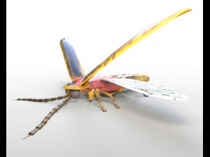 firefly rigged pbr low poly insect Modello 3D