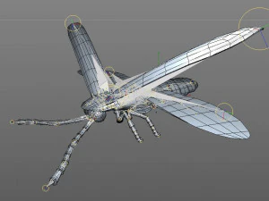 vaga-lume equipado pbr baixo poli inseto Modelo 3D