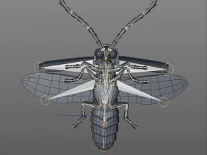 vaga-lume equipado pbr baixo poli inseto Modelo 3D