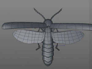vaga-lume equipado pbr baixo poli inseto Modelo 3D