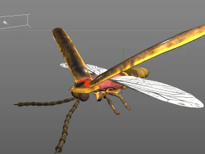 vaga-lume equipado pbr baixo poli inseto Modelo 3D