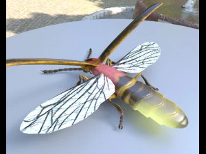 vaga-lume equipado pbr baixo poli inseto Modelo 3D