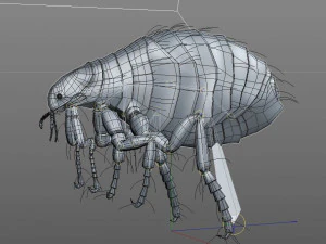 flea rigged hairs pbr low poly insect 3D Model