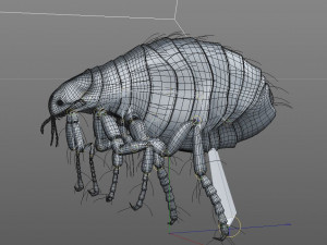 flea rigged hairs pbr low poly insect 3D Model