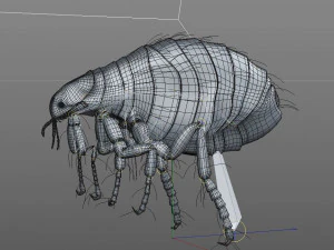 flea rigged hairs pbr low poly insect 3D Model