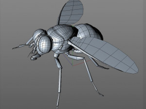 housefly rigged hairs insect pbr low poly 3D Model