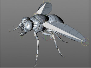 housefly rigged hairs insect pbr low poly 3D Model