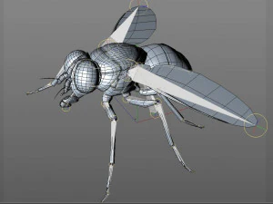 housefly rigged hairs insect pbr low poly 3D Model