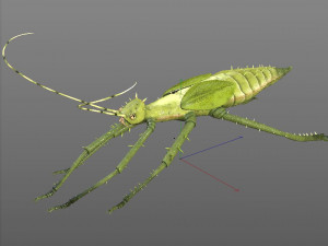jungle nymph rigged low poly pbr insect 3D Model