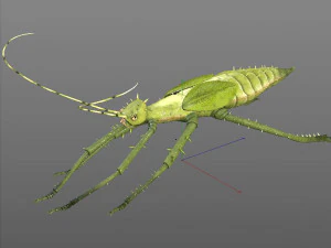 jungle nymph rigged low poly pbr insect 3D Model