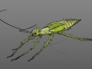 jungle nymph rigged low poly pbr insect 3D Model