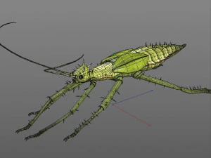 jungle nymph rigged low poly pbr insect 3D Model