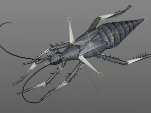 jungle nymph rigged low poly pbr insect 3D Model