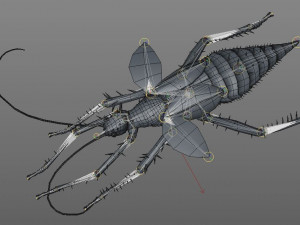 jungle nymph rigged low poly pbr insect 3D Model