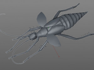 jungle nymph rigged low poly pbr insect 3D Model