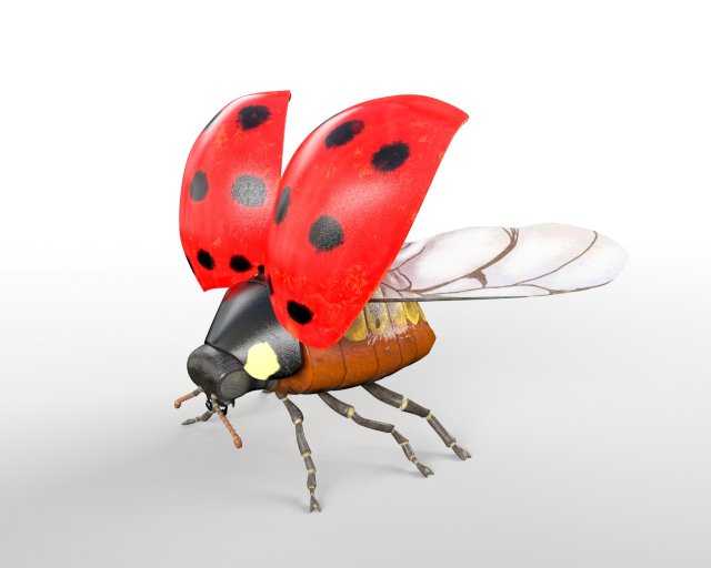 ladybug rigged pbr low poly insect 3Dモデル .c4d .max .obj .3ds .fbx .stl .blend 