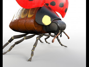 ladybug rigged pbr low poly insect 3Dモデル
