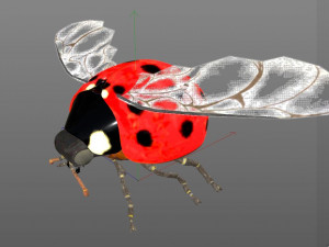 ladybug rigged pbr low poly insect 3Dモデル
