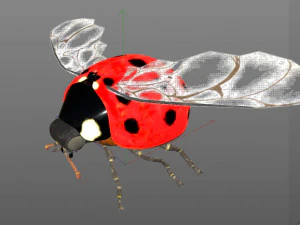 ladybug rigged pbr low poly insect 3D Model