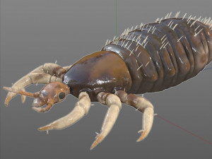 louse rigged insect low poly pbr Modèle 3D