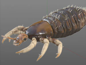 louse rigged insect low poly pbr 3D Model