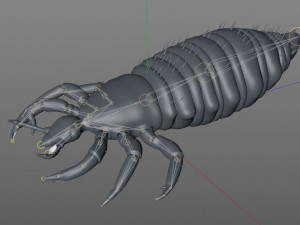 louse rigged insect low poly pbr Modèle 3D