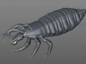 louse rigged insect low poly pbr 3D Model
