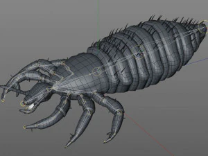 louse rigged insect low poly pbr 3D Model
