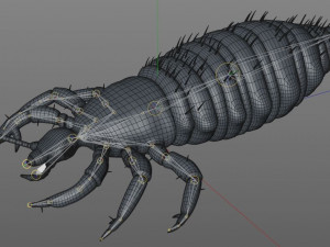 louse rigged insect low poly pbr Modèle 3D