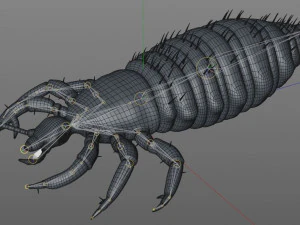 louse rigged insect low poly pbr 3D Model