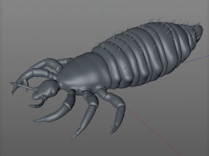 louse rigged insect low poly pbr Modèle 3D