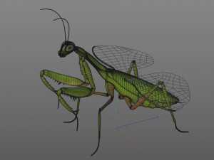 praying mantis rigged insect low poly pbr Model 3D