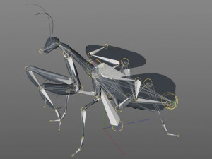 praying mantis rigged insect low poly pbr Model 3D