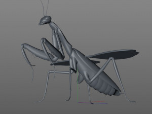 praying mantis rigged insect low poly pbr Model 3D