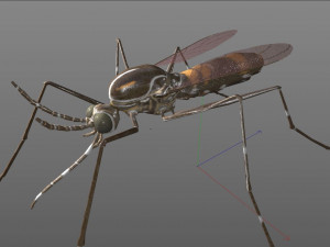 mosquito rigged hairs low poly insect pbr 3D Model