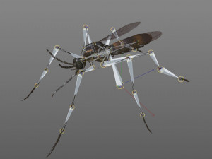 mosquito rigged hairs low poly insect pbr 3D Model