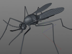 mosquito rigged hairs low poly insect pbr 3D Model