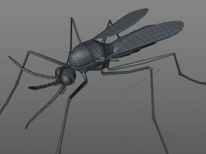 mosquito rigged hairs low poly insect pbr 3D Model