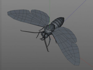 moth rigged hairs low poly insect pbr 3D Model