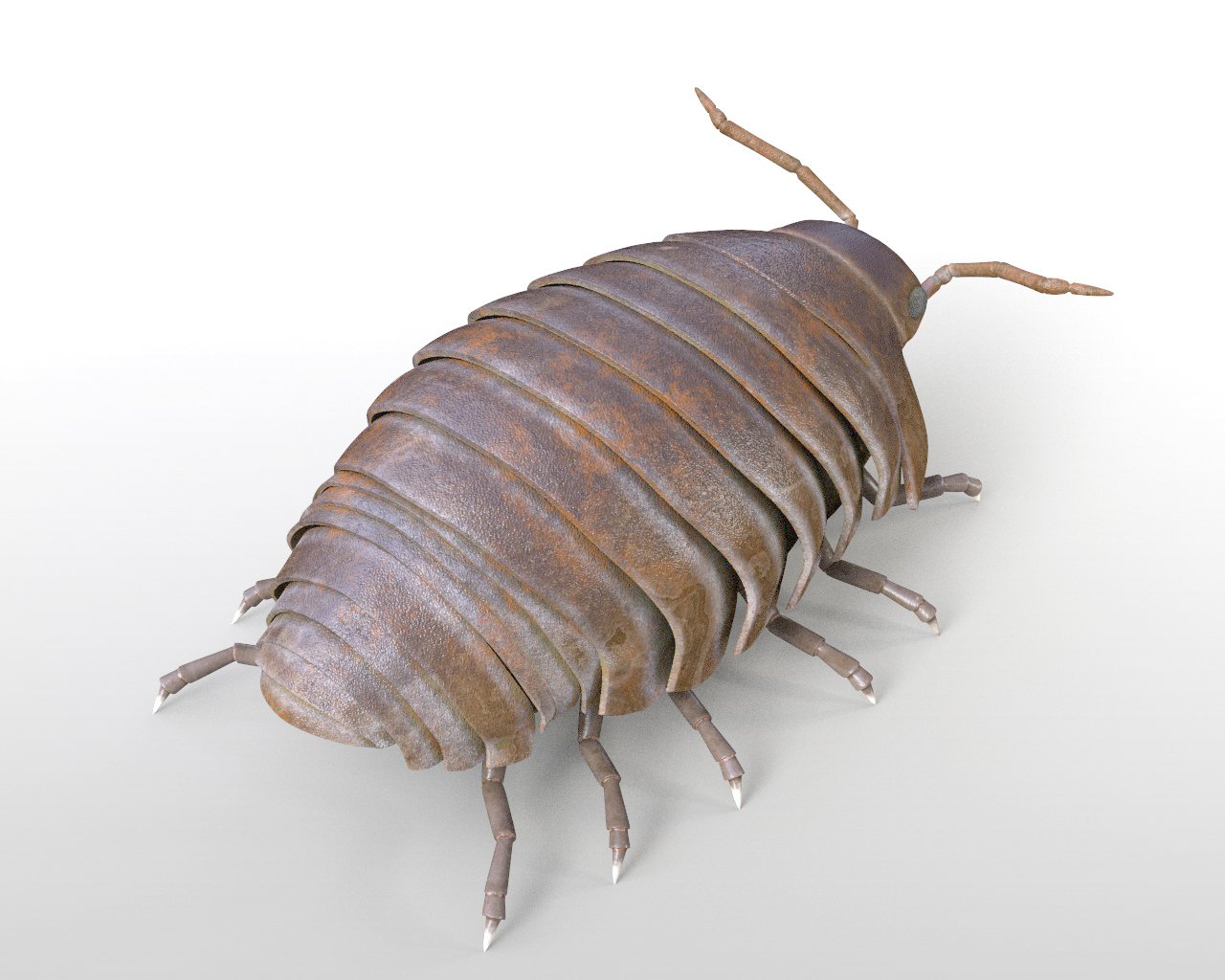 Pill bug Rigged Low Poly PBR Insect 3D Model in Insects