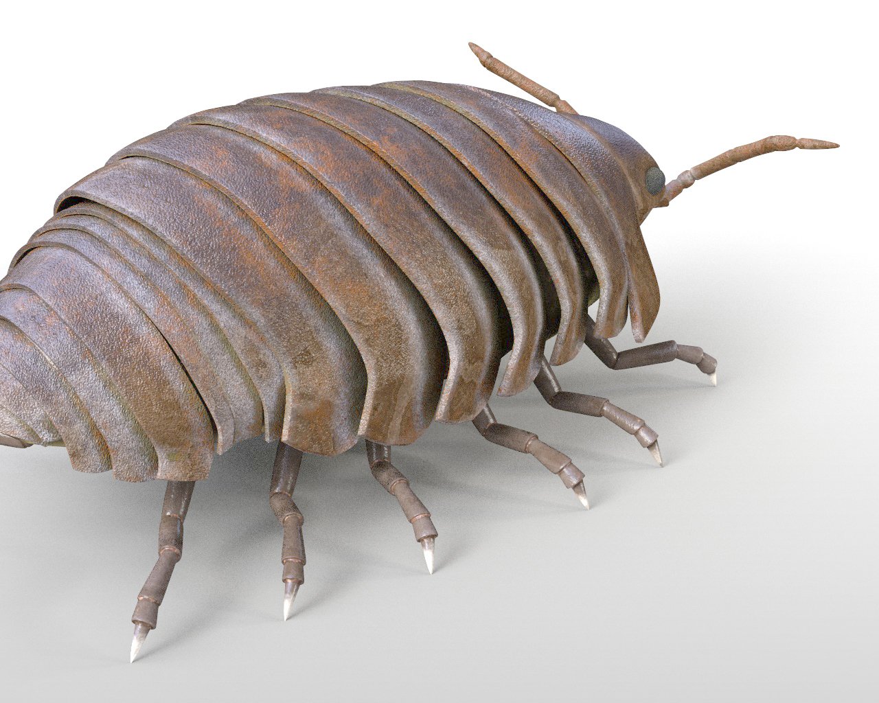 Pill bug Rigged Low Poly PBR Insect 3D Model in Insects