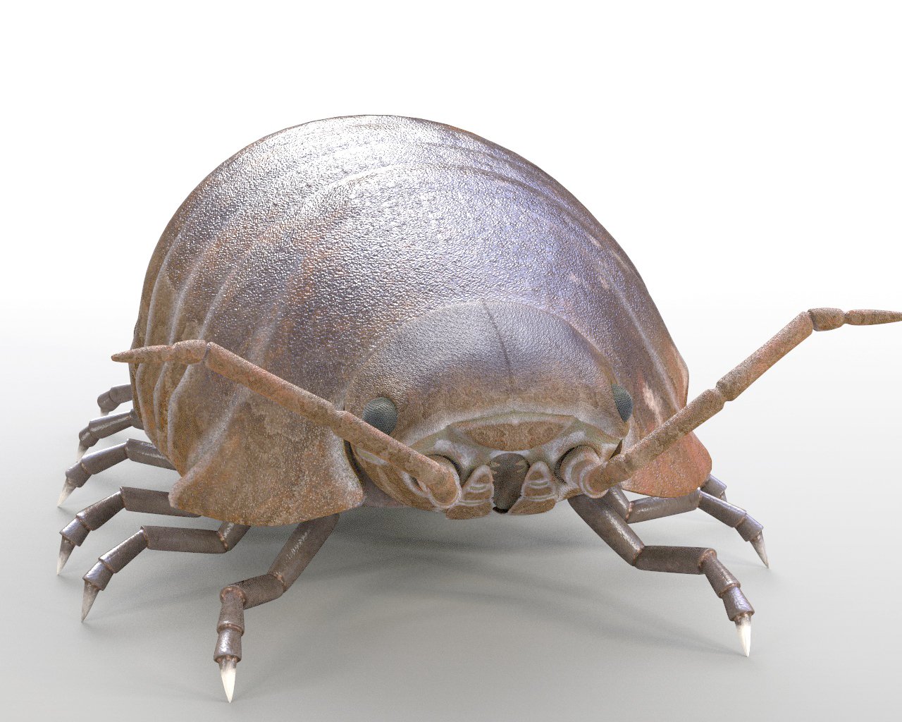 Pill bug Rigged Low Poly PBR Insect 3D Model in Insects
