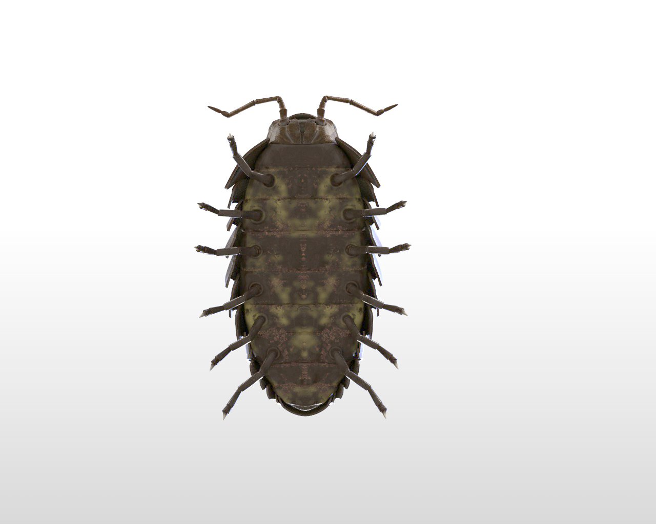 Pill bug Rigged Low Poly PBR Insect 3D Model in Insects