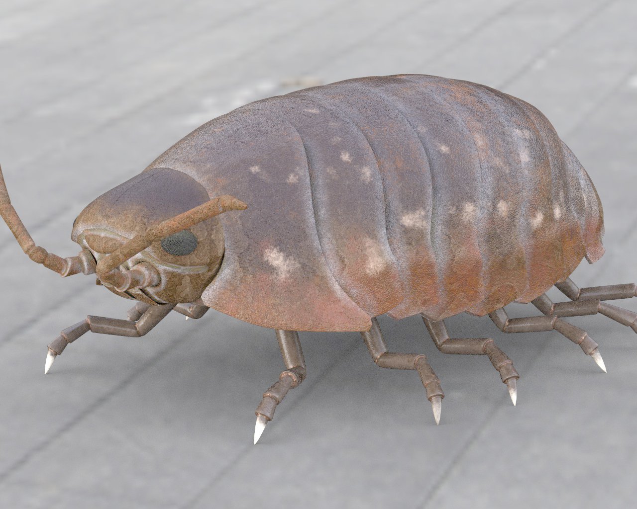 Pill bug Rigged Low Poly PBR Insect 3D Model in Insects