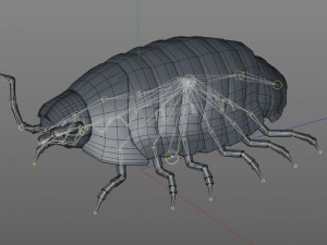 pill bug rigged low poly pbr insect 3D मॉडल
