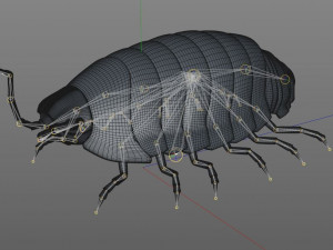 pill bug rigged low poly pbr insect 3D मॉडल