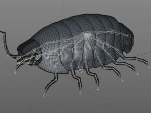 pill bug rigged low poly pbr insect 3D Model