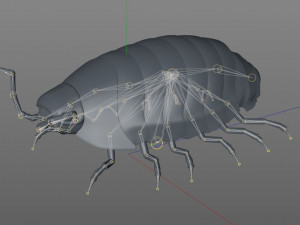pill bug rigged low poly pbr insect 3D मॉडल
